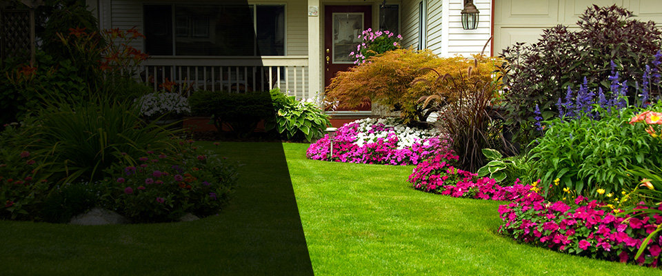 Calabasas Landscapers