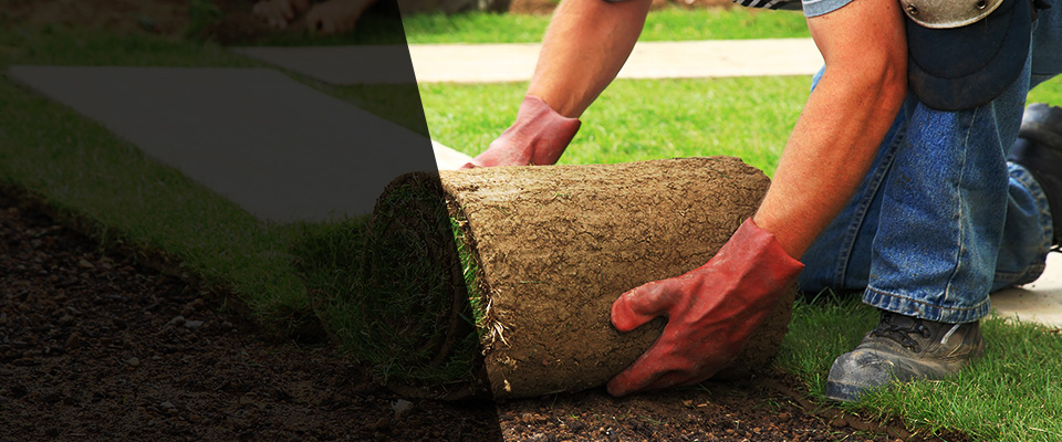 Calabasas Landscapers